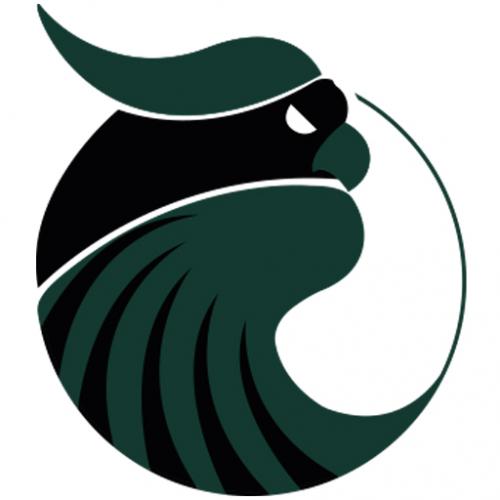 Logo ASL Chemin Vert Handball Caen